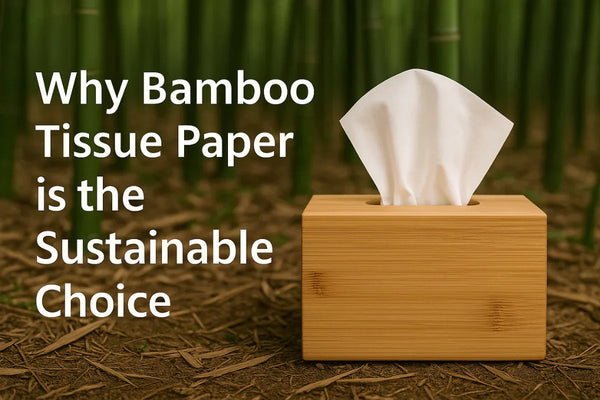 7 Reasons to Switch to Eco-Friendly Tissue Products in 2026