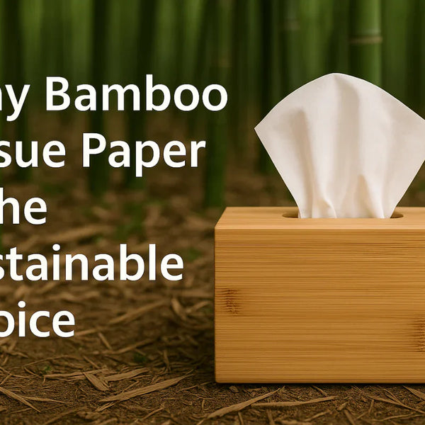 7 Reasons to Switch to Eco-Friendly Tissue Products in 2026