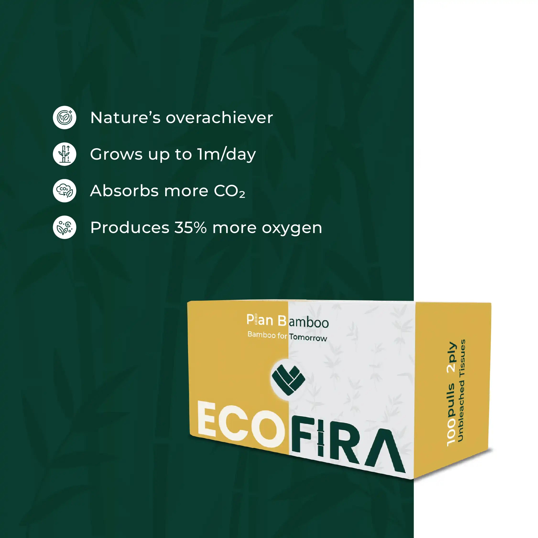 EcoFira packaging with bamboo product on a green background