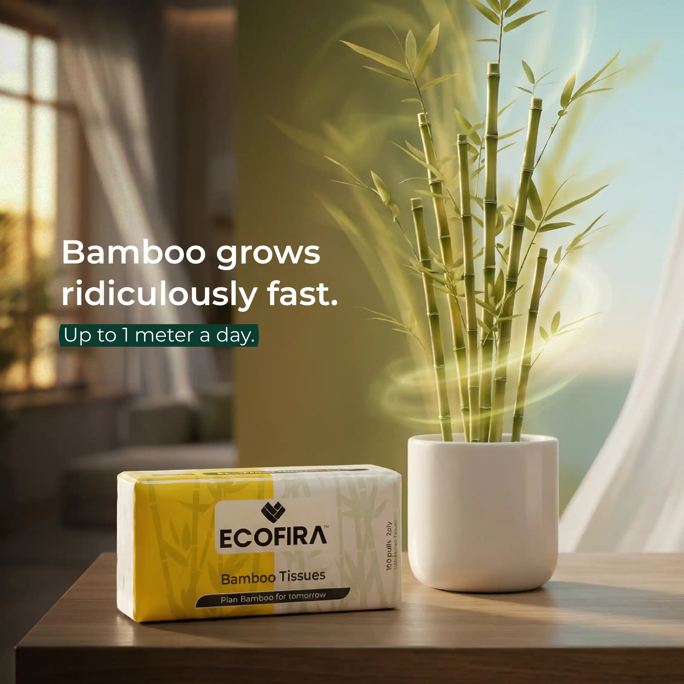 ECOFIRA bamboo tissues with a potted bamboo plant on a table.