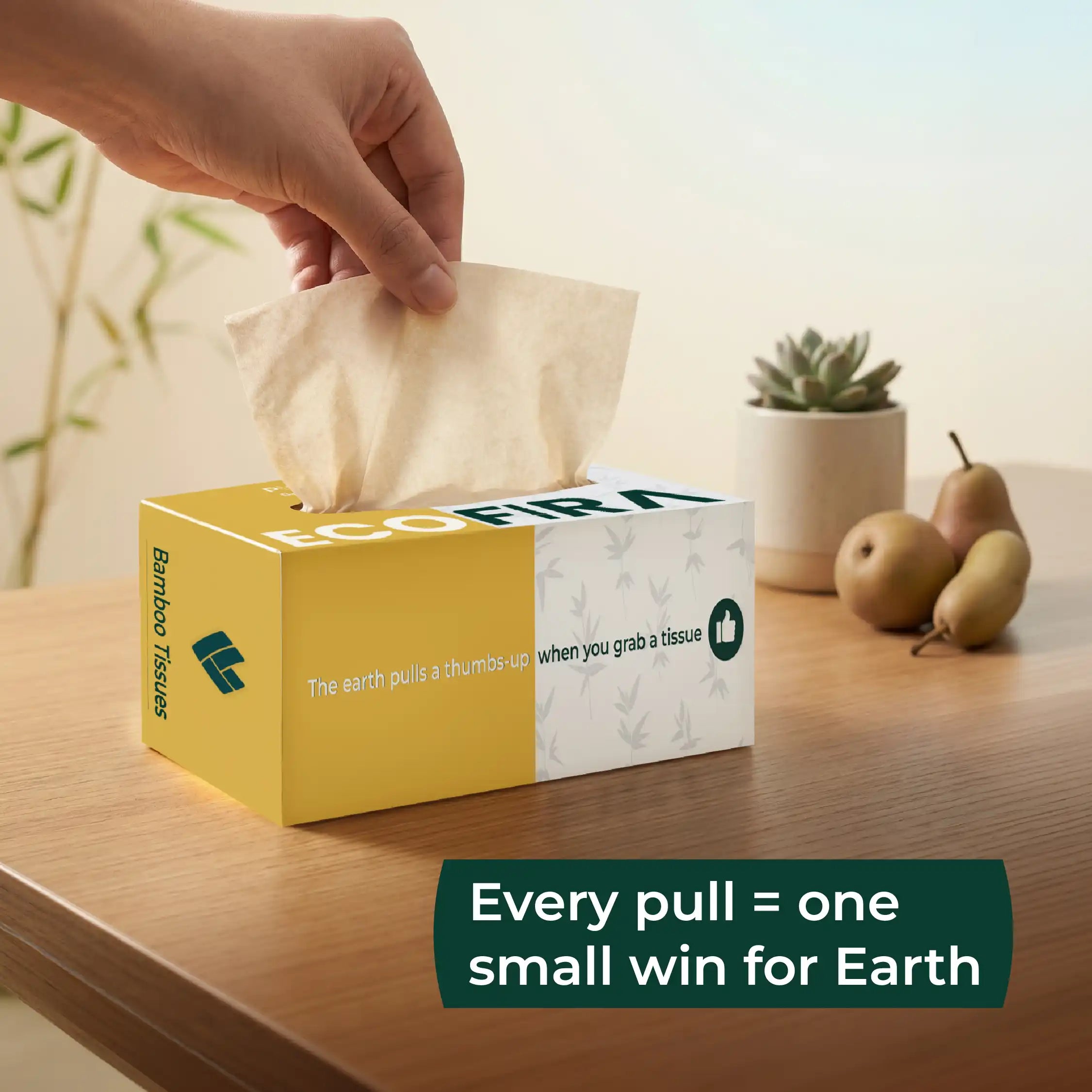 bamboo facial tissue box in use - Ecofira

